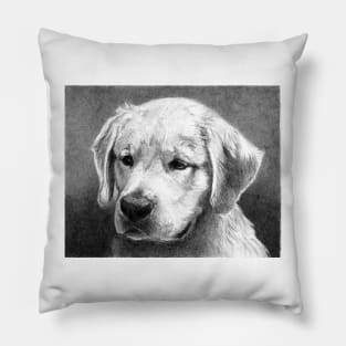 CHASE Pillow