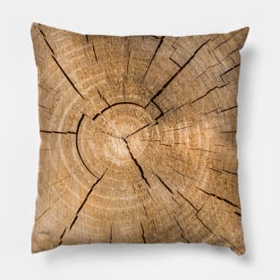 Wooden Tree Circle Texture - Alternative II Pillow
