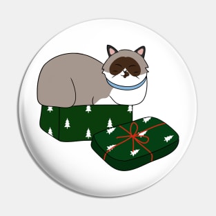 Kitty Present Pin