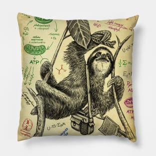 Sloth in Bioenergetics Pillow