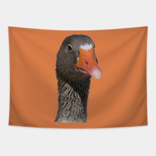 Neck Up Photograph Portrait Of A Geeky Looking Brown Duck Tapestry