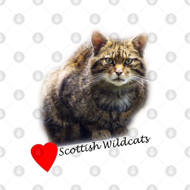 Love Scottish Wildcats! by JeanKellyPhoto