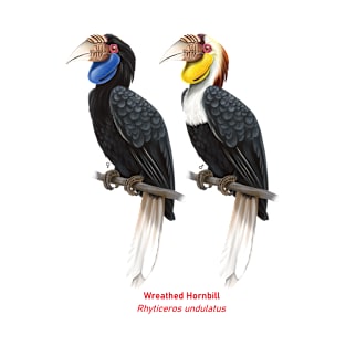 Wreathed hornbill | Rhyticeros undulatus ⚥ T-Shirt