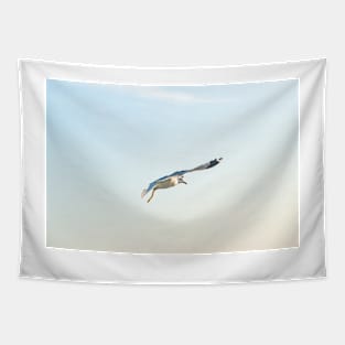 Hovering Larus Californicus Tapestry