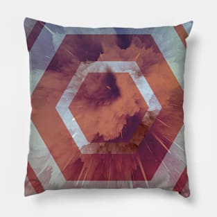 Geometric elements series Pillow
