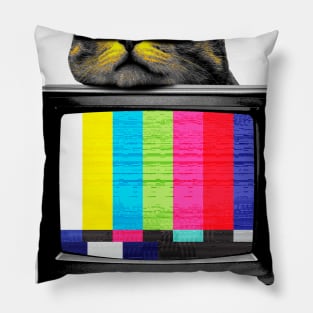 3D cat Pillow