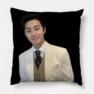 Park Seo Joon - V3 Pillow