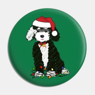 Naughty Black & White Bernedoodle Tangled In Christmas Lights Pin