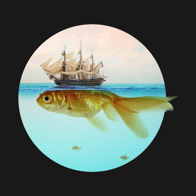 Goldfish Sailing Ship by Vin Zzep