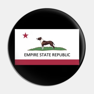 Empire State Republic Pin