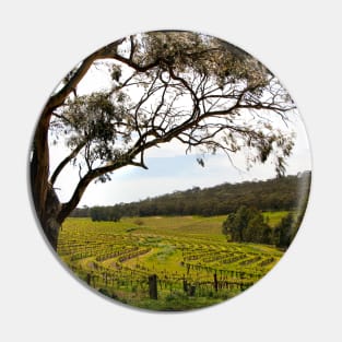 Vineyard Landscape in Springtime Pin