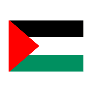 Palestine flag T-Shirt
