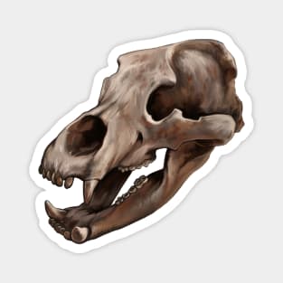 Cave Bear Skull Magnet