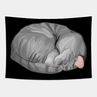 Sleeping Curled Gray Tabby Cat Tapestry