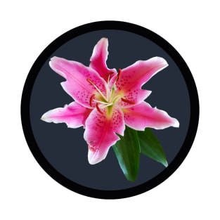 Pink Stargazer Lily Flower Circle Frame T-Shirt