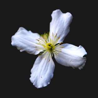 white flower T-Shirt