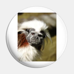 Cotton-top Tamarin Pin