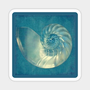 Nautilus Magnet