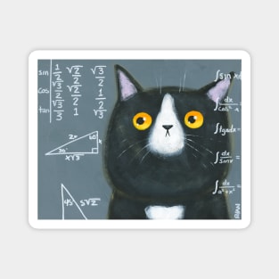 Maths Cat Magnet