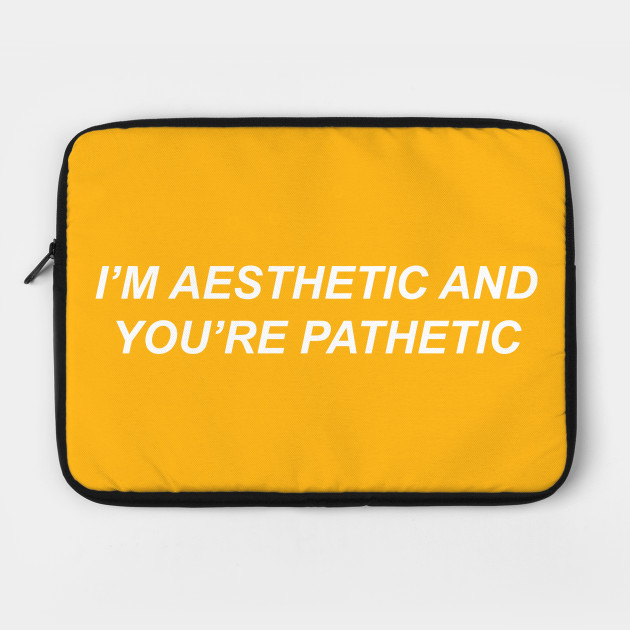 aesthetic laptop sleeve