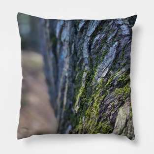 Mossy Tree Bark Pillow