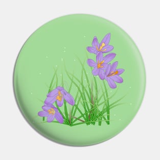 Crocus Flowers on Spring Green Pin
