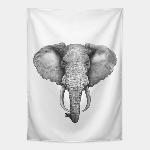 Elephant Tapestry by kodamorkovkart