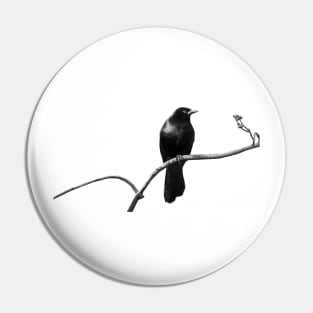 Blackbird Pin