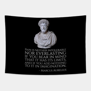 Pain is neither intolerable nor everlasting if you bear in mind that it has its limits, and if you add nothing to it in imagination. - Marcus Aurelius Tapestry