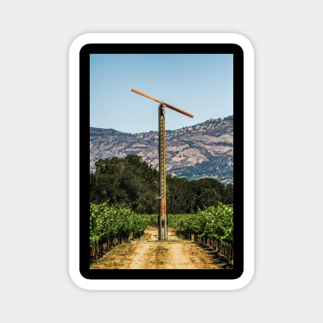 Vineyard Fan Magnet by rturnbow