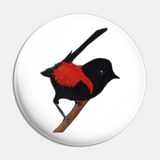 Red-backed Fairy-wren Pin