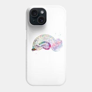 Brain Pyramidal Phone Case