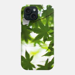 Photography - Spring leaves Phone Case