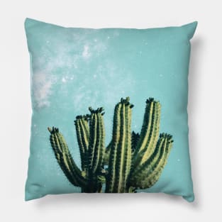 Boho Mexican Desert Cactus Succulent Pillow