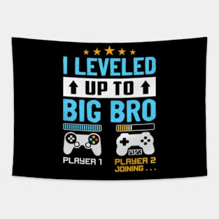 Promoted To Big Brother Leveled Up To Big Tapestry