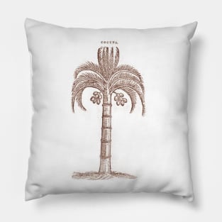 Old Palm Pillow