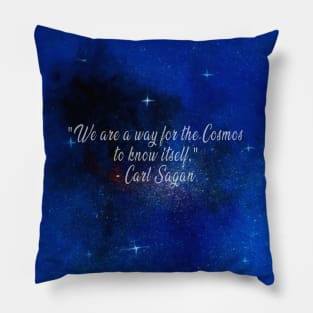 “We are a way for the cosmos to know itself.” Pillow