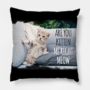 Are You Kitten Me Right Meow Pillow