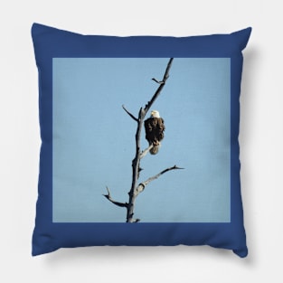 Wildlife gifts, bald eagle, birds, nature Pillow