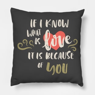 Love Your Family Positive Words Pillow