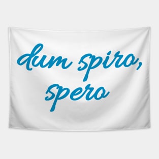 Dum spiro, spero - Latin quote shirt gift idea Tapestry