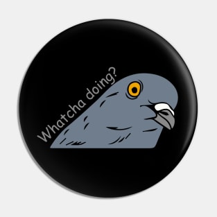 whatcha doing pigeon  - funny Pin