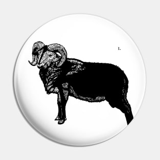 Ovis Aries Pin