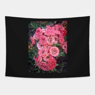 Pink Roses Tapestry