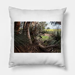 Canola Crop Through the Bush Pillow