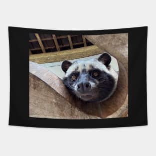 Raccoon Tapestry