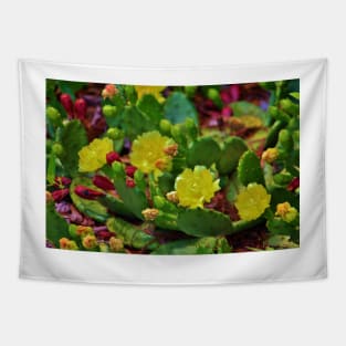 Prickly Pear Cactus Tapestry