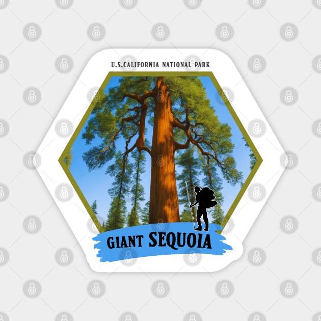 Giant Sequoia Magnet by Alexander Luminova