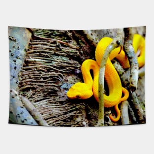 Gelbe Viper / Swiss Artwork Photography Tapestry