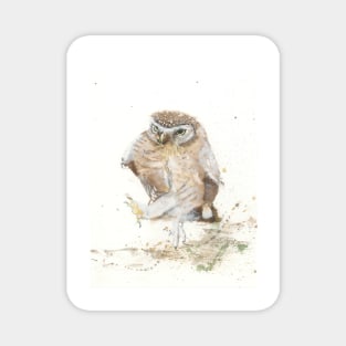 Strutting Owl Magnet